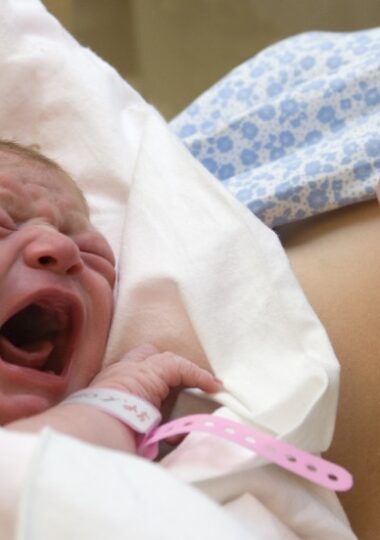 dreamstime_m_11776744